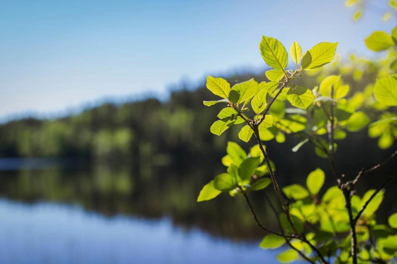 Lepaan Kesahostelli Exteriör bild